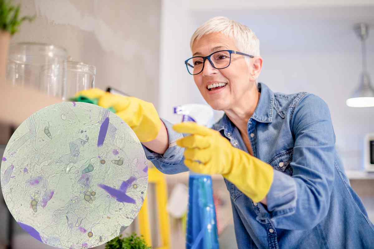 donna pulisce casa e un ingrandimento di una serie di batteri