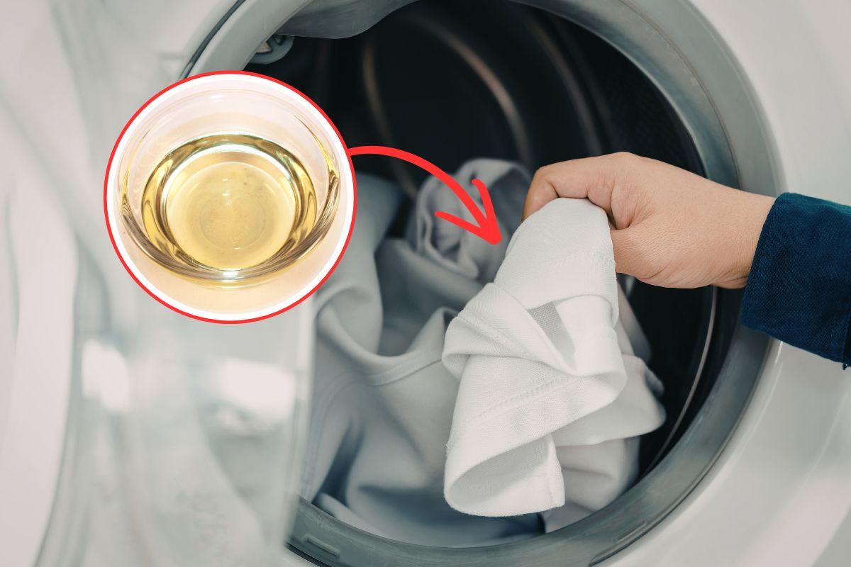 persona che mette abiti in lavatrice e aceto