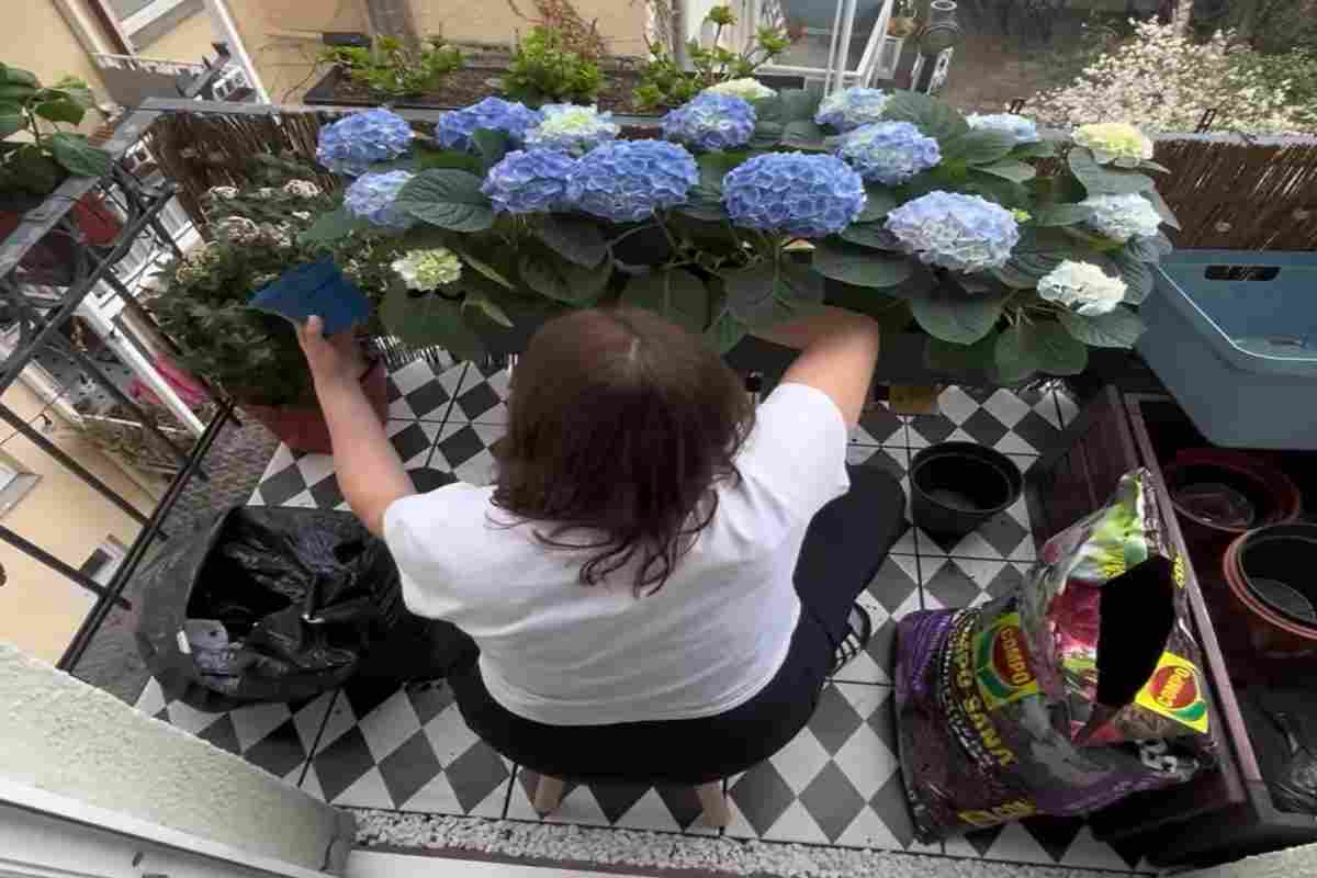 Elena rifinisce il suo balcone