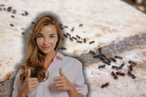 formiche in casa e donna che fa ok con le mani
